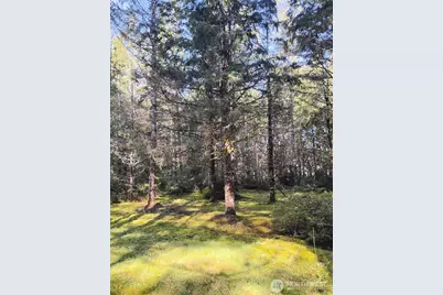 1731 E Saint Andrews Dr. N, Shelton, WA 98584 - Photo 1