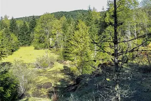 1513 State Route 8, McCleary, WA 98557 - Photo 1