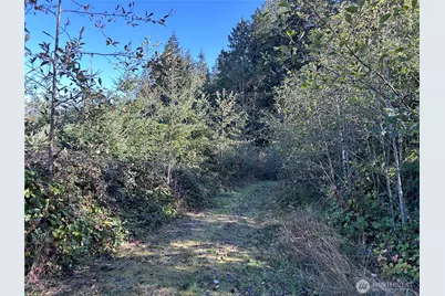 0 Nka Mt Brynion Road, Kelso, WA 98626 - Photo 1