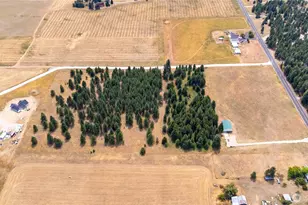 42410 North Sherman, Deer Park, WA 99006 - Photo 1