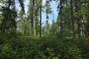 29615 Orting Kapowsin Hwy E, Graham, WA 98338 - Photo 1