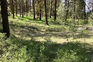 19 Lot Doe Ln, Tonasket, WA 98855 - Photo 1