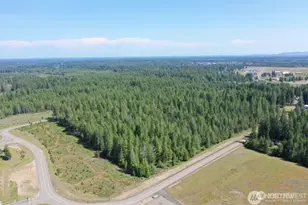 4 W Public Works Dr, Shelton, WA 98584 - Photo 1