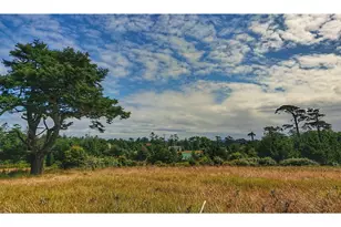 97 Meadow Ln, Friday Harbor, WA 98250 - Photo 1