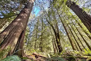 30 Little Strawberry Ln, Bellingham, WA 98229 - Photo 1