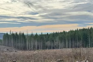 0 August Rd, Onalaska, WA 98570 - Photo 1