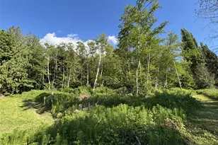 0 Anderson Rd, Mount Vernon, WA 98274 - Photo 1