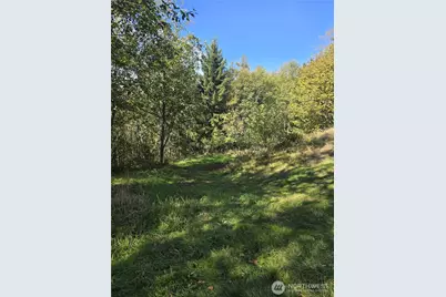 0 2500 Road, Toutle, WA 98649 - Photo 1