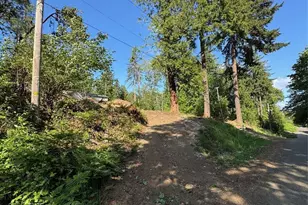 0 E Panorama, Shelton, WA 98584 - Photo 1