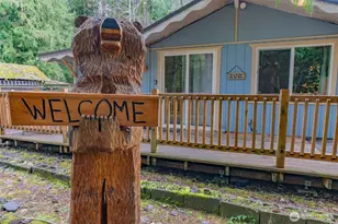 56717 383rd Ave Ct E, Ashford, WA 98304 - Photo 1