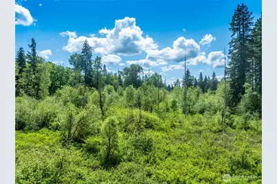 33805 NE Lake Joy Road, Carnation, WA 98014 - Photo 1