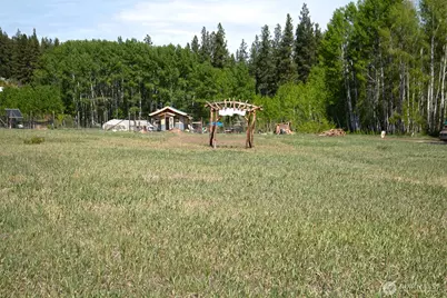 64 Elmer Road, Twisp, WA 98856 - Photo 1