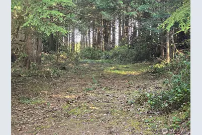 1012 Sunset Street, Moclips, WA 98562 - Photo 1