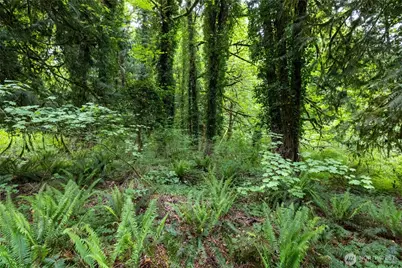 24118 177th Street E, Orting, WA 98360 - Photo 1