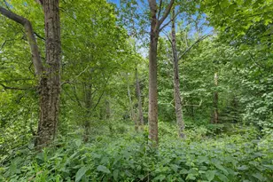 4061 Eagle Ridge Dr, Camano Island, WA 98282 - Photo 1