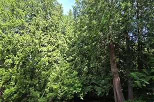 0 University Point Circle NE, Bremerton, WA 98311 - Photo 1