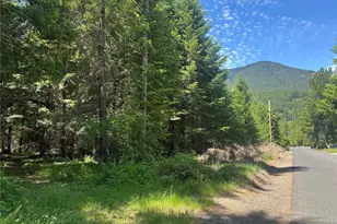 124 Cottonwood Ln, Packwood, WA 98361 - Photo 1