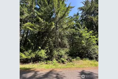 11311 115th Street, Anderson Island, WA 98303 - Photo 1