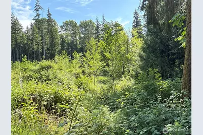 17 Xxx Jim Creek Road, Arlington, WA 98223 - Photo 1