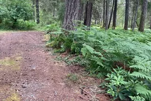 40 N Silver Ln, Hoodsport, WA 98548 - Photo 1