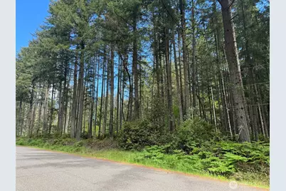 10409 Tahoma Dr, Anderson Island, Anderson Island, WA 98303 - Photo 1