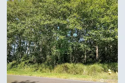 548 Duck Lake Drive NE, Ocean Shores, WA 98569 - Photo 1