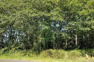 548 Duck Lake Dr NE, Ocean Shores, WA 98569 - Photo 1