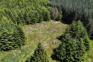 18820 Roseburg St SW, Rochester, WA 98579 - Photo 1