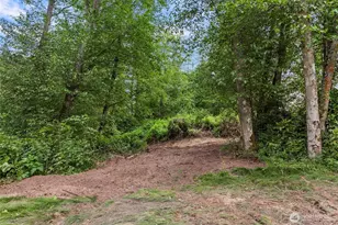 0 Xxx Osprey Rd, Freeland, WA 98249 - Photo 1
