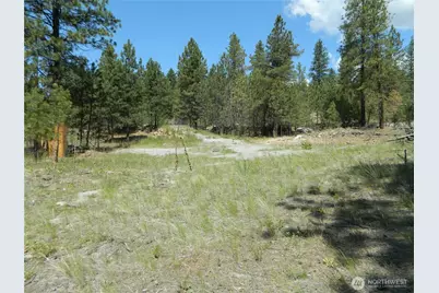 1111 Tbd Cape Labelle Road, Tonasket, WA 98855 - Photo 1