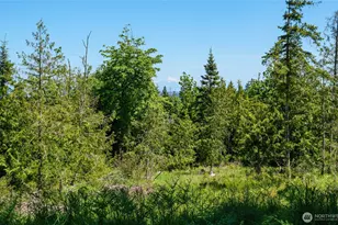 0 Little Loop Dr, Port Angeles, WA 98362 - Photo 1