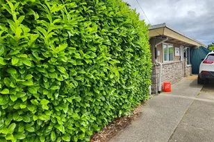 856 Harrington Ave NE, Renton, WA 98056 - Photo 1