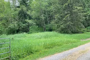 0 Eatonville Elbe Forest Rd E, Eatonville, WA 98328 - Photo 1