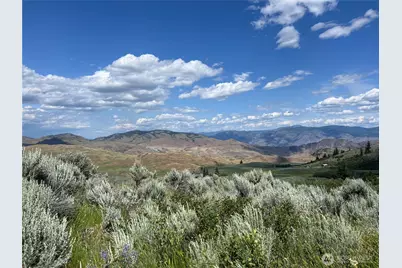 0 Tbd Ellemeham Min X Road, Oroville, WA 98844 - Photo 1