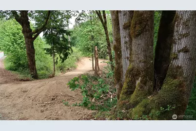 123 NE Tahuya River Rd, Belfair, WA 98528 - Photo 1