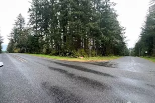 0 E Shumway Rd, Camano Island, WA 98282 - Photo 1