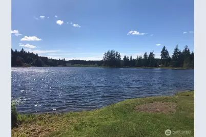 1620 W Star Lake Drive, Elma, WA 98541 - Photo 1
