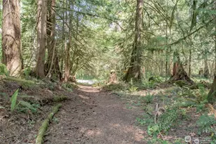 220 N Duckabush Dr W, Hoodsport, WA 98548 - Photo 1