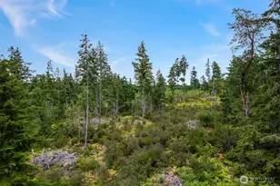 0 E South Island Dr, Shelton, WA 98584 - Photo 1