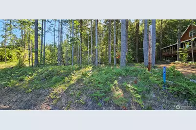 0 Terrace Way, Packwood, WA 98361 - Photo 1
