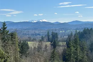 191 Kjesbu Rd, Mossyrock, WA 98585 - Photo 1