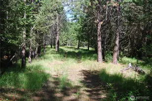 30 -23 Wild Turkey, Riverside, WA 98849 - Photo 1