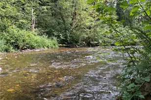 0 Pigeon Springs Rd, Onalaska, WA 98570 - Photo 1