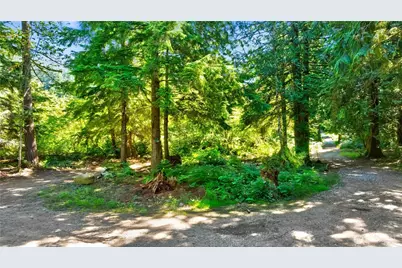 15528 May Creek Road, Gold Bar, WA 98251 - Photo 1