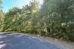 0 Hill Creek Rd, Castle Rock, WA 98611 - Photo 1