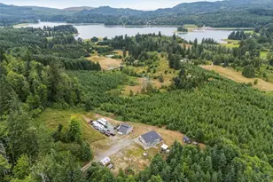 52008 Lillie Dale Rd E, Eatonville, WA 98328 - Photo 1