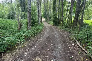 17037 Tiger Mountain Rd SE, Issaquah, WA 98027 - Photo 1