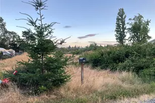 7329 Phillips Rd SW, Lakewood, WA 98498 - Photo 1