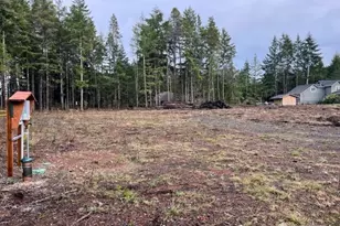 100 E El Fuego Dr, Shelton, WA 98584 - Photo 1