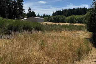 9110 & 9112 Johnson Rd, Anderson Island, WA 98303 - Photo 1